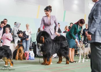 17.04.2022 2хСАС выставки “Сезон Охоты” г. Воронеж