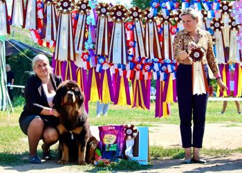 21.08.2022 Оренбург 2хСАС выставки